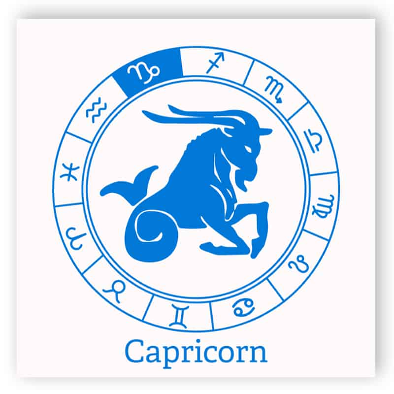 Capricorn | Easily edit and order this sign online!
